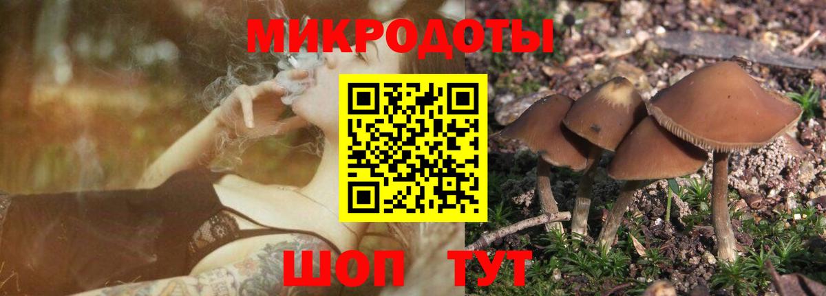Баксан  Галлюциногенные грибы ЛСД  Галлюциногенные грибы Psilocybine cubensis  Вход с VPN 