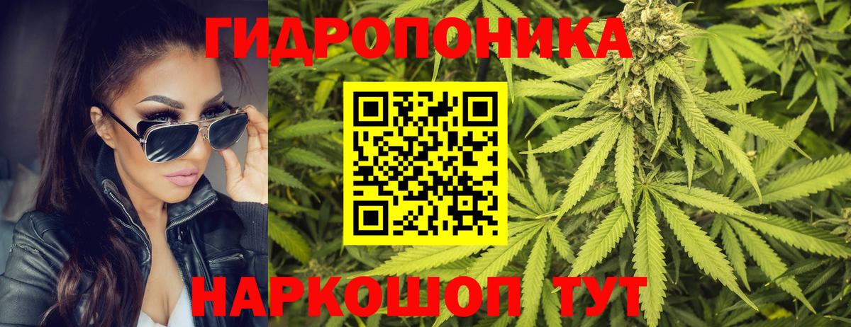 Каннабис семена  Конопля AK-47  Баксан  Вход с VPN 